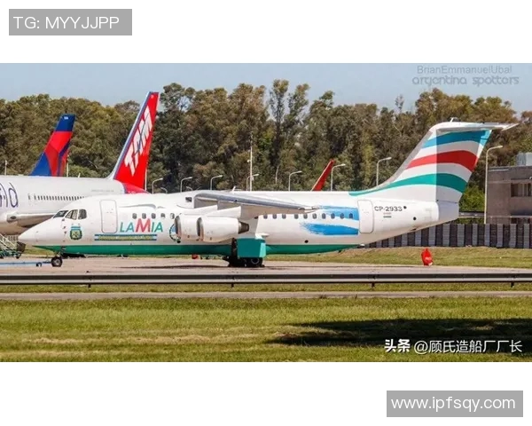 足球明星乘坐私人飞机不幸遇难飞机爆炸事件引发全球哀悼与关注